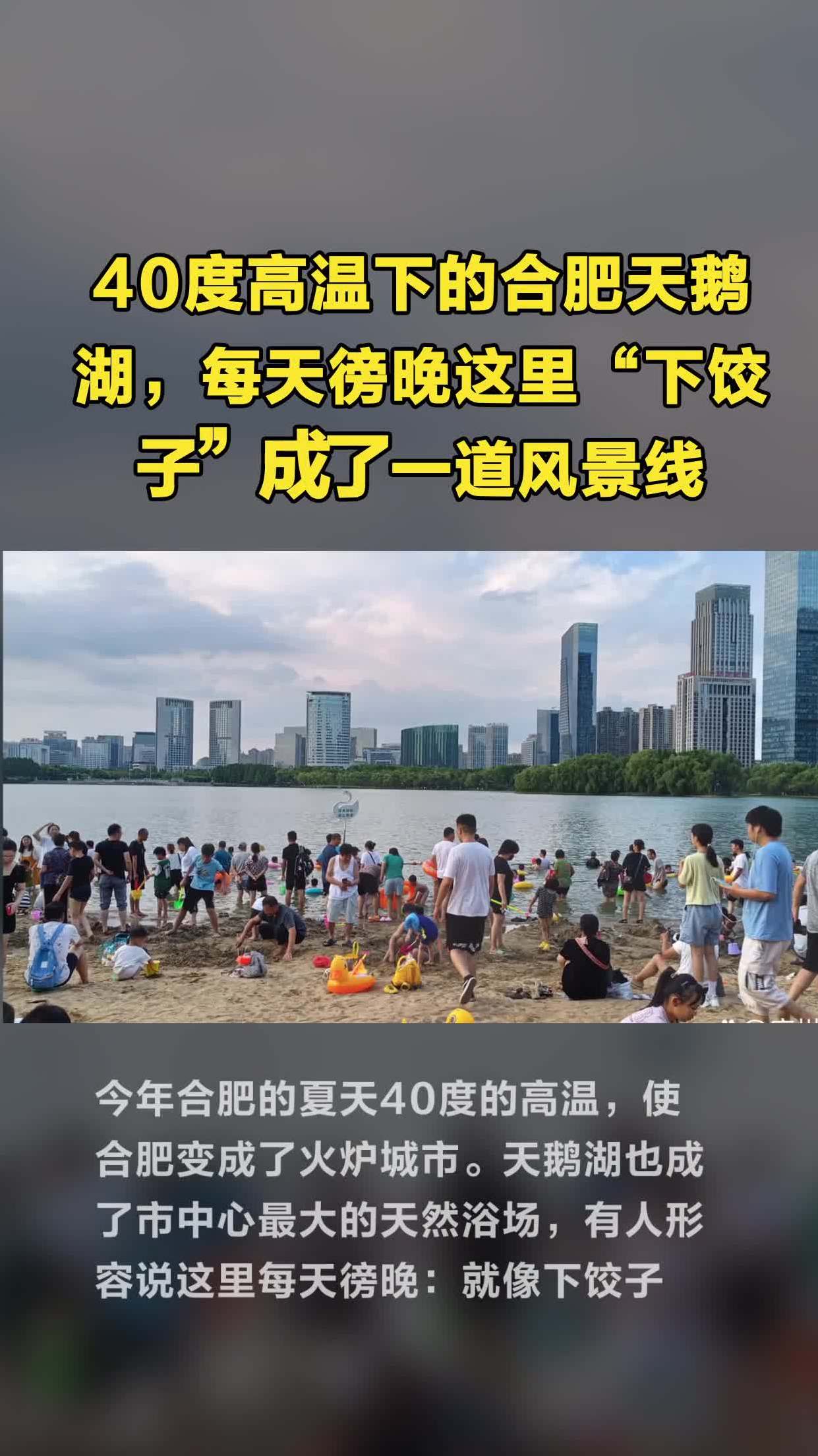 40度高温下的合肥天鹅湖,每天徬晚这里“下饺子”成了一道风景线
