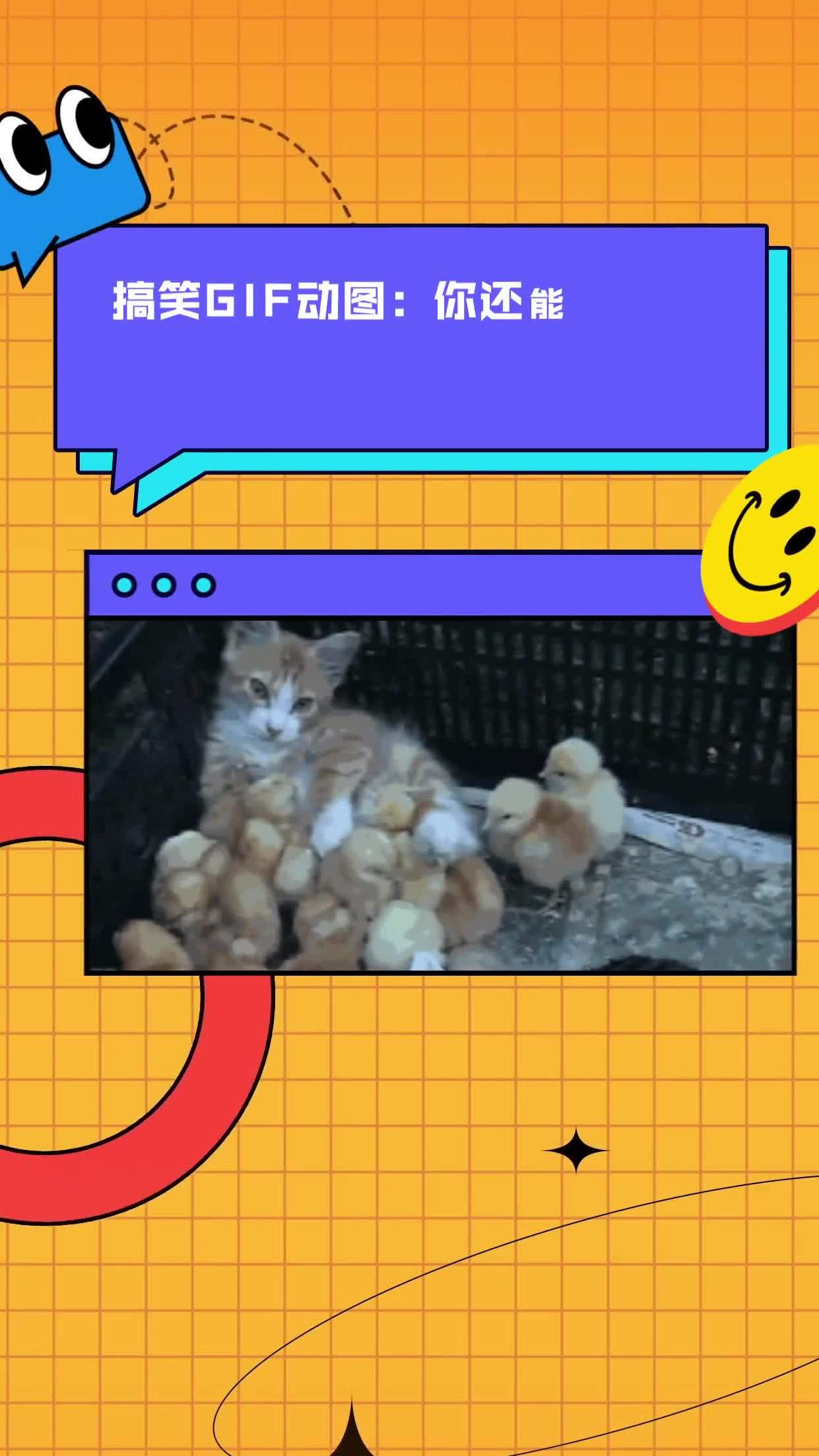 搞笑GIF动图:你还能质疑第一张的笑点吗,这么多小鸡仔