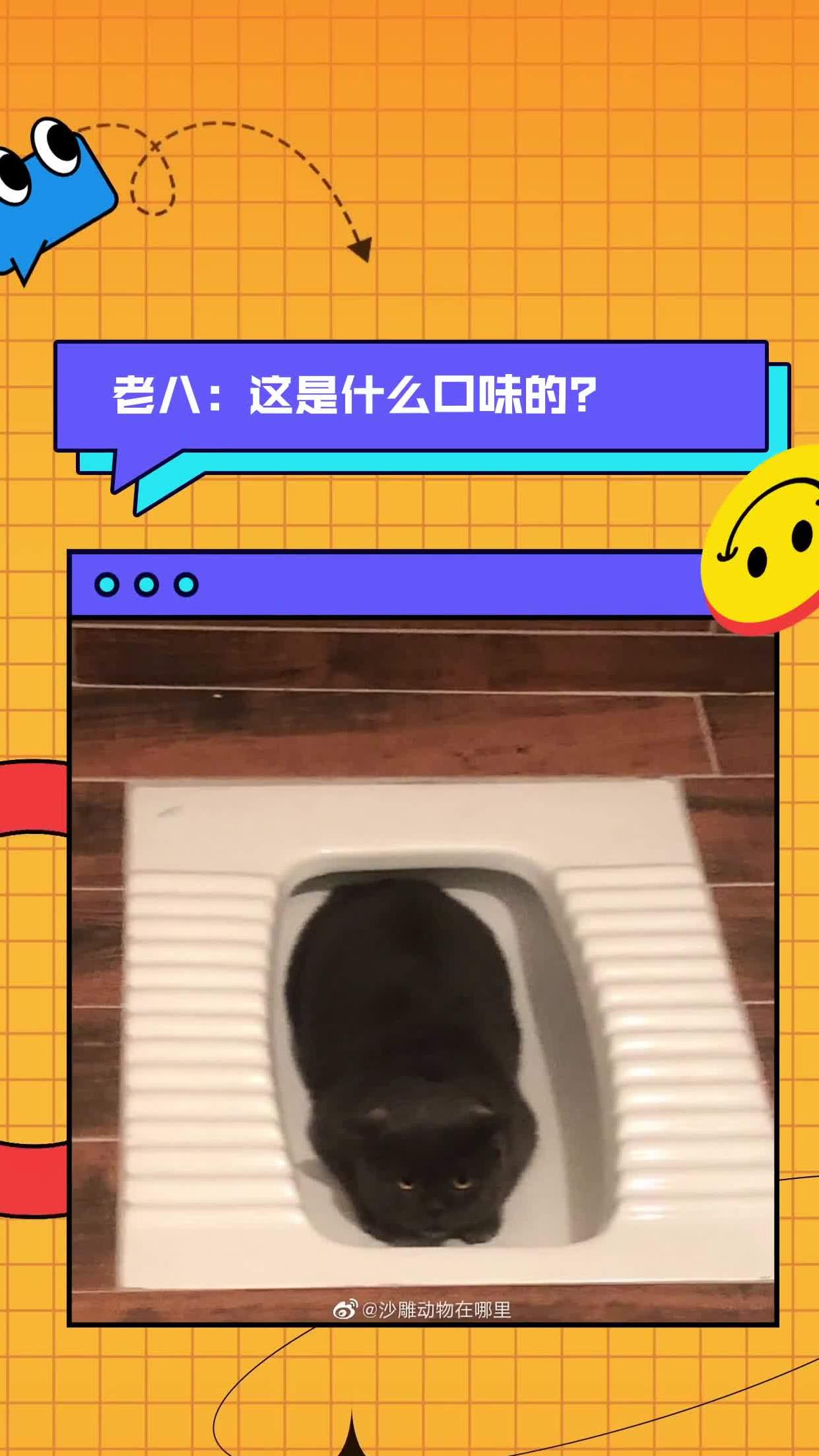 老八:这是什么口味的