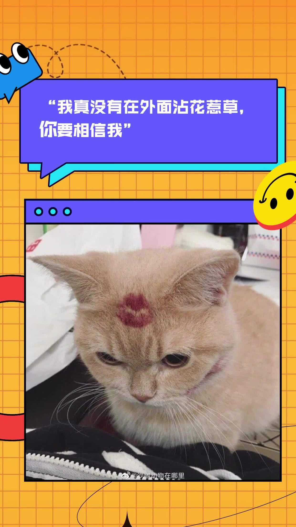 "我真没有在外面沾花惹草,你要相信我"