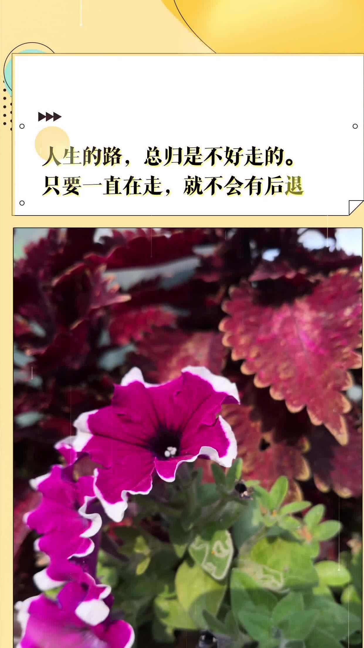 人生的路,总归是不好走的