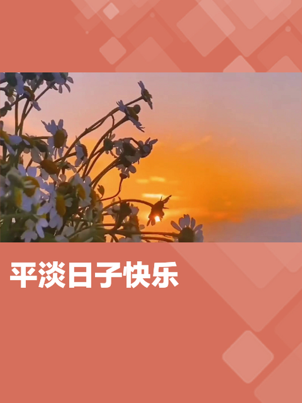 三餐四季,温暖有趣,看似平淡,却也快乐