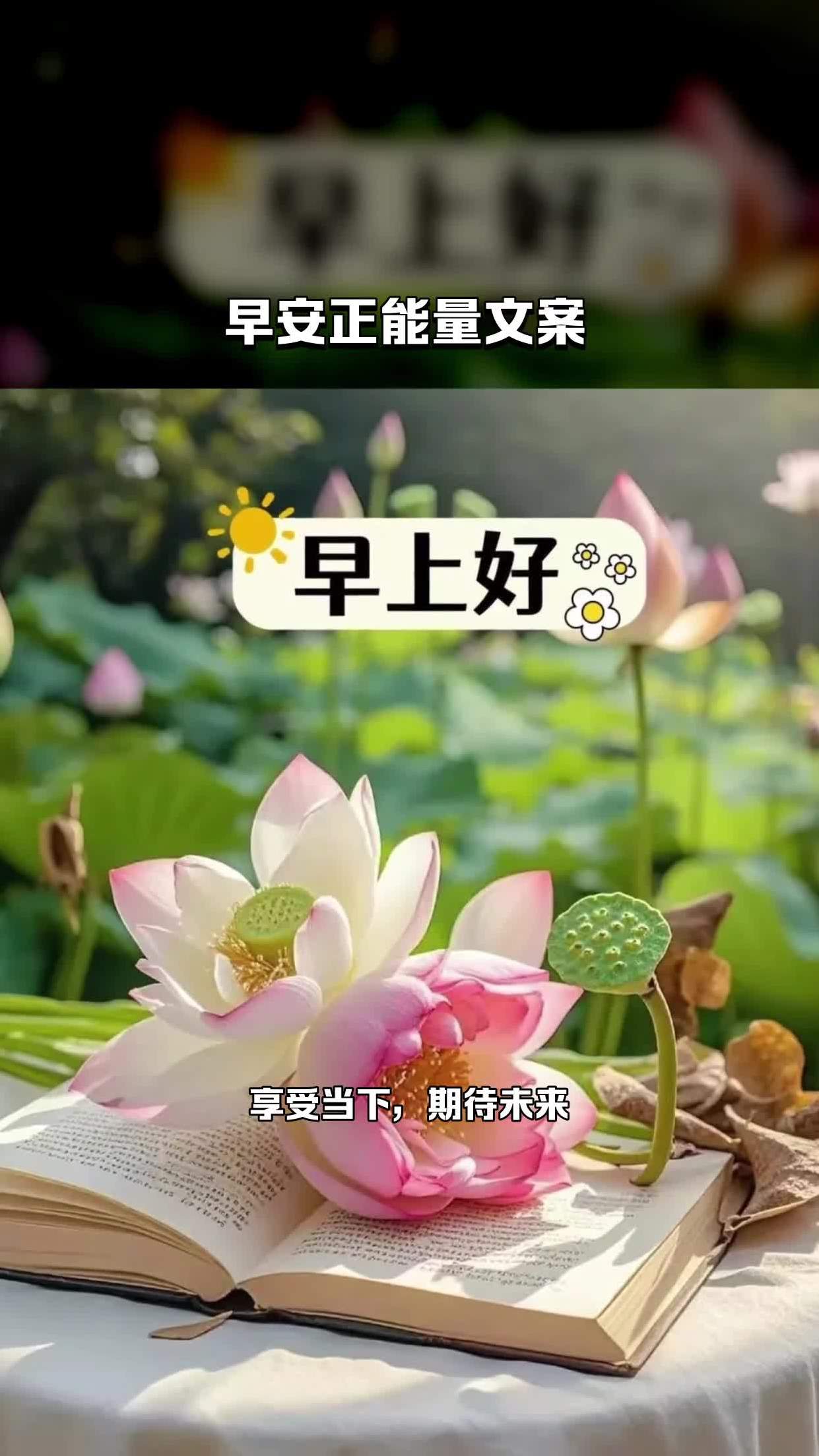 早安正能量文案