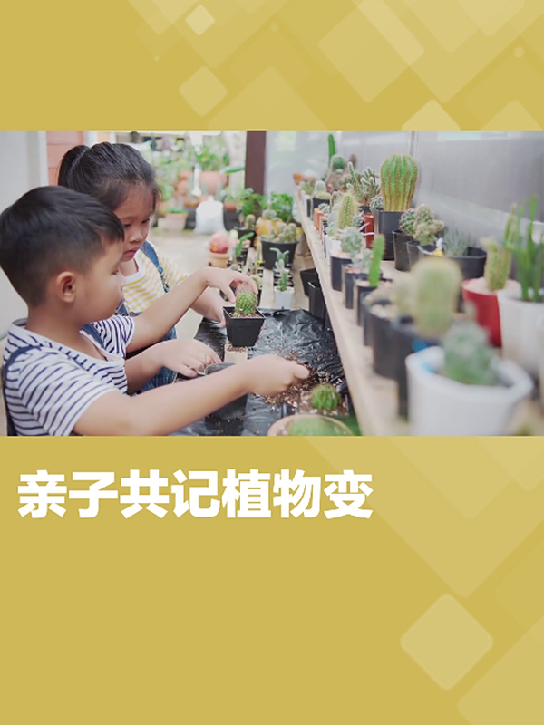 小绿记录多肉“小胖”变化,养成观察好习惯