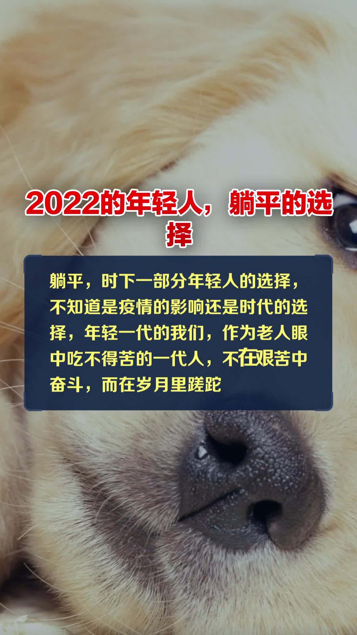 2022躺平图片图片