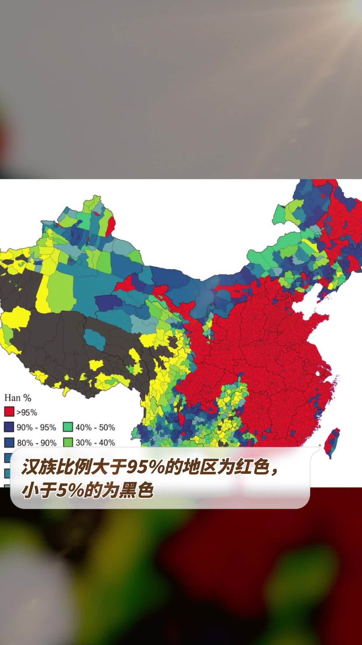 中国民族比例图片