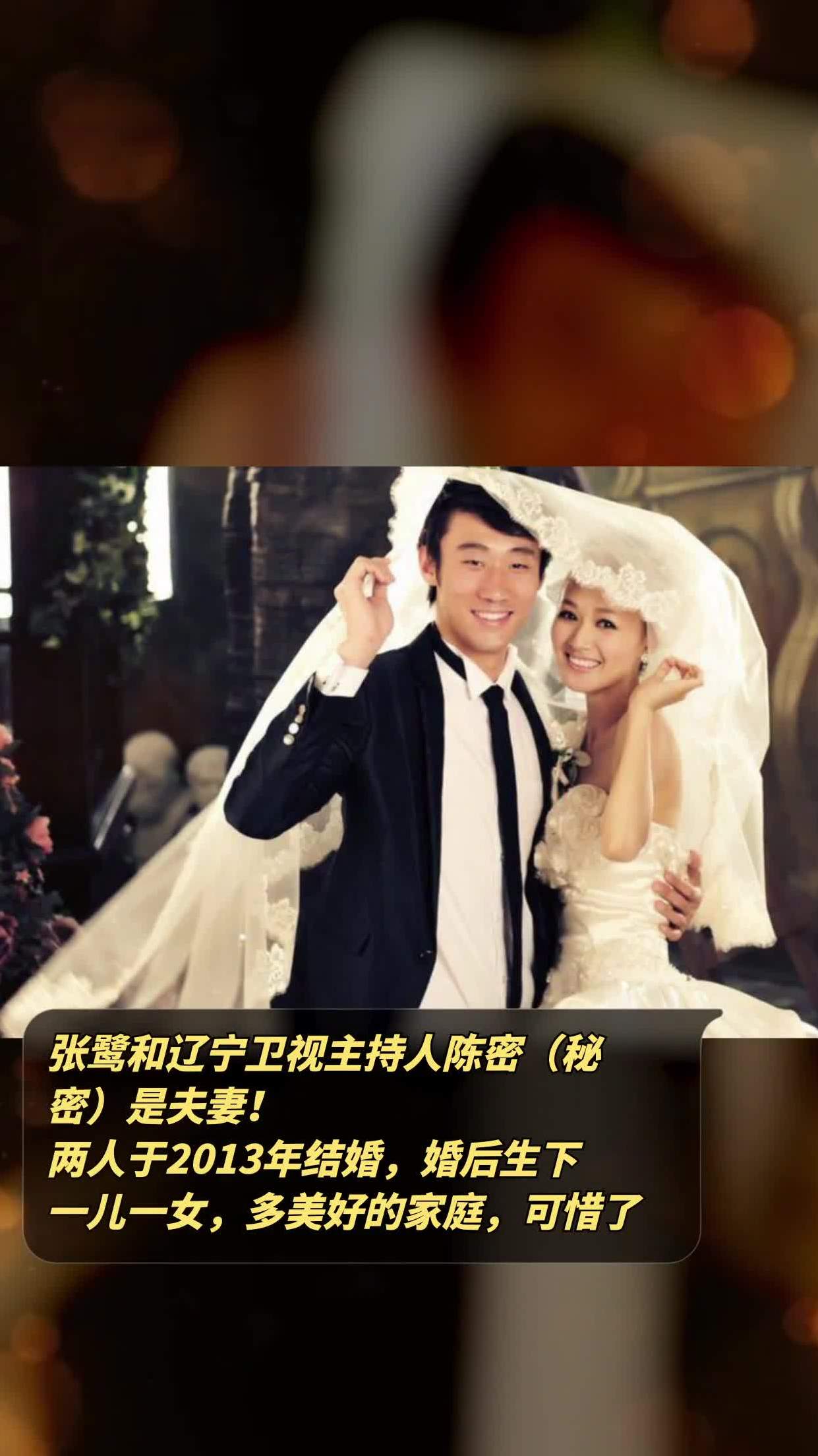 张鹭陈密结婚照图片