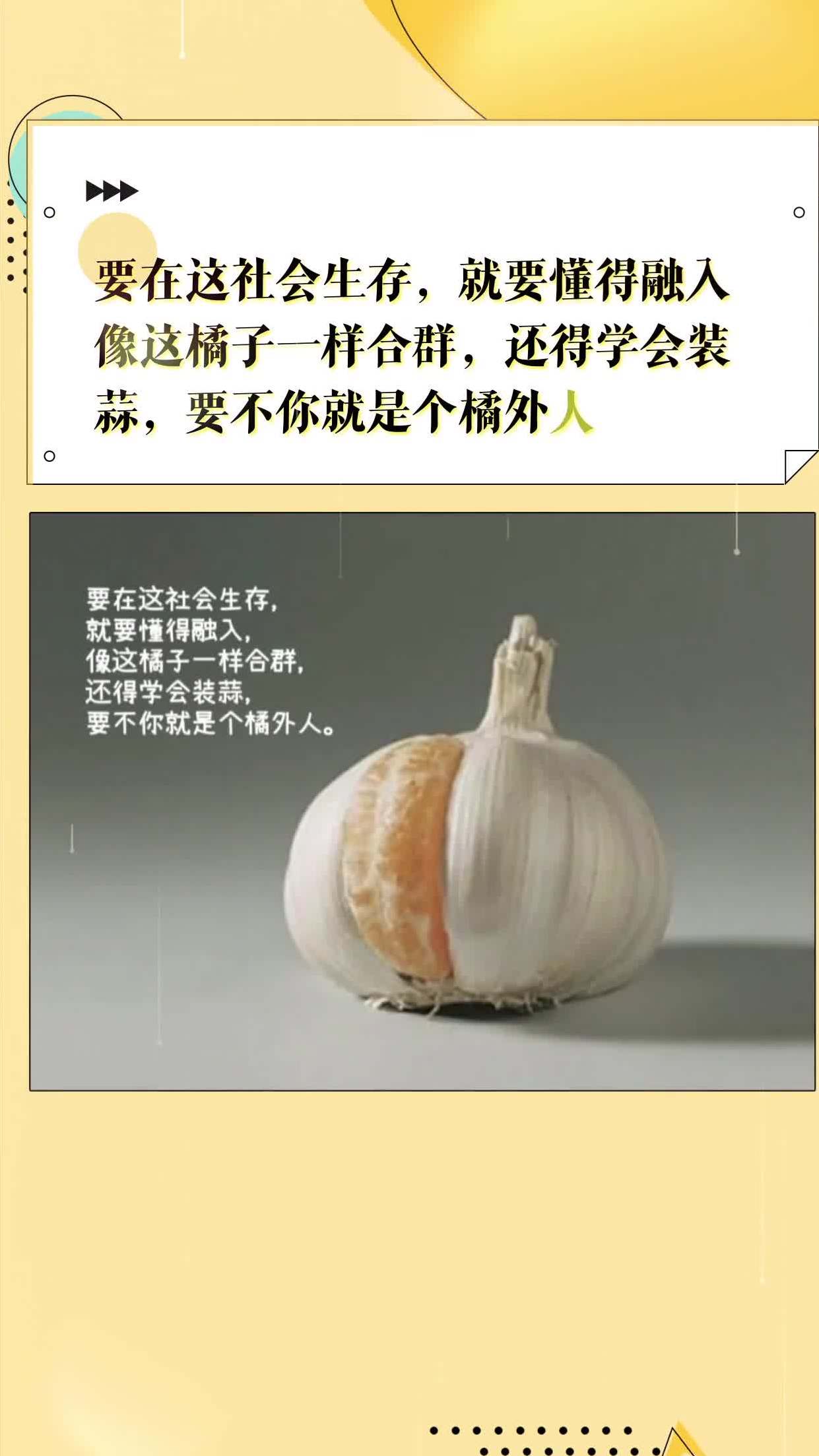 就要懂得融入,像这橘子一样合群,还得学会装蒜,要不你就是个橘外人-度