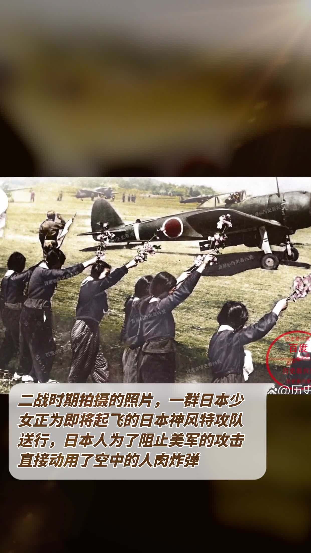 日本神风特攻队纪录片图片