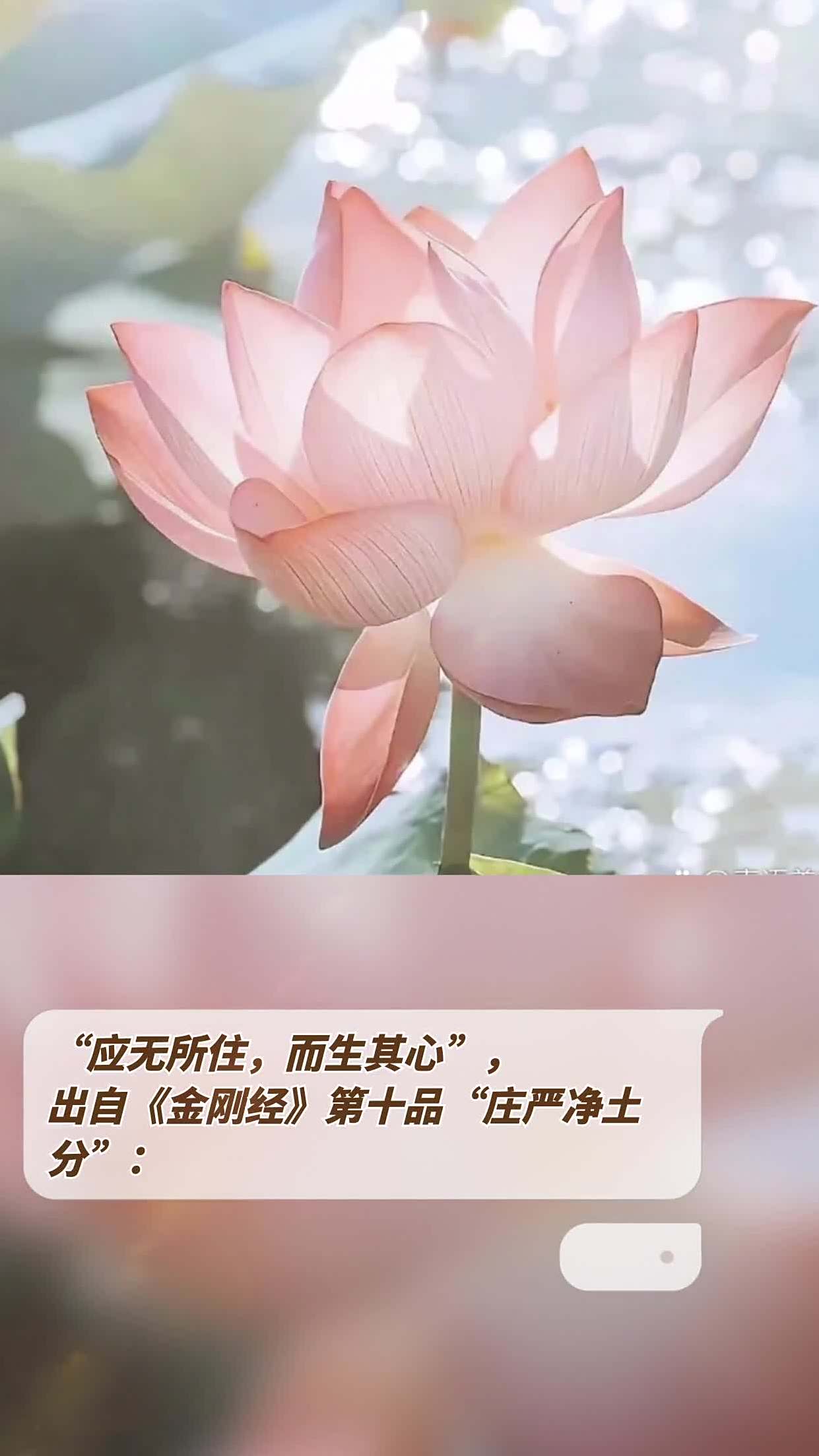 "应无所住,而生其心"