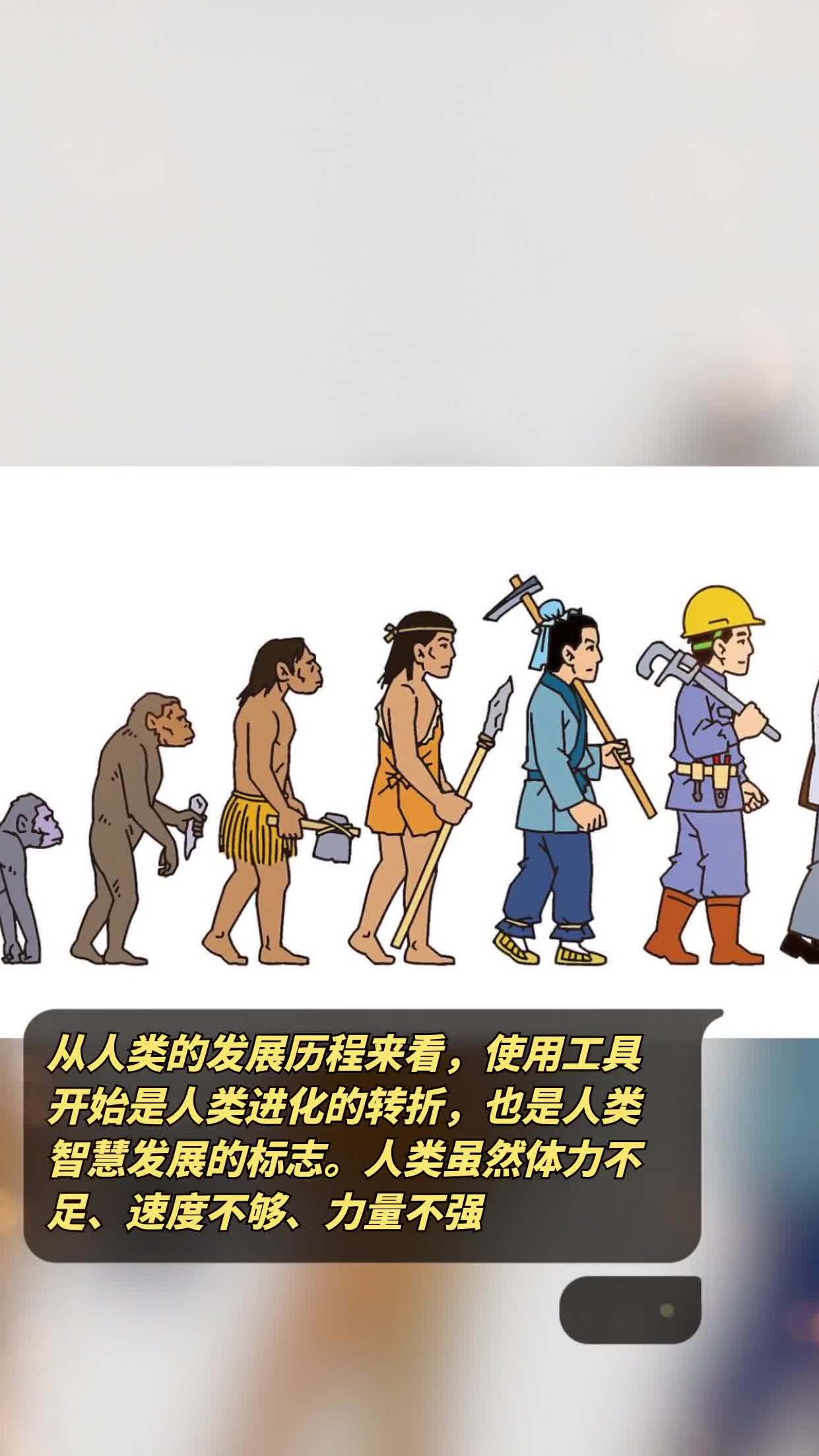 人类的进化过程图文字图片