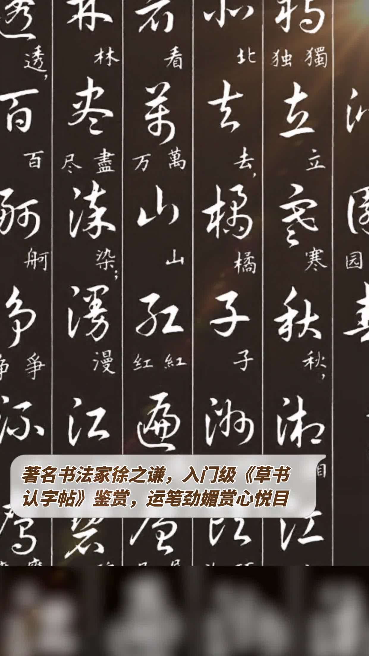 著名书法家徐之谦,入门级《草书认字帖》鉴赏,运笔劲媚赏心悦目-度小