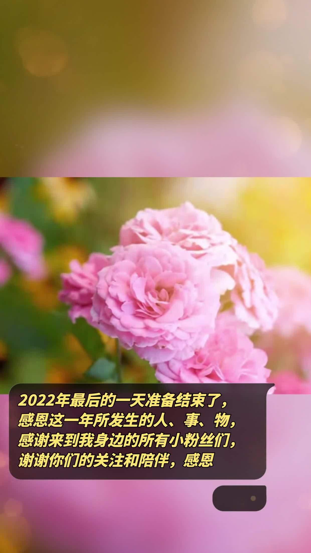 2022年初十一祝福图片图片