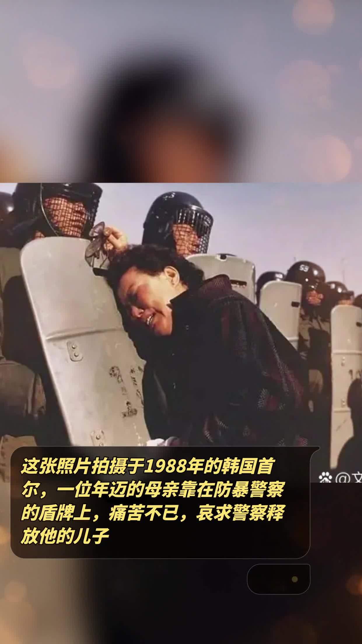 韩国防暴警察盾牌图片