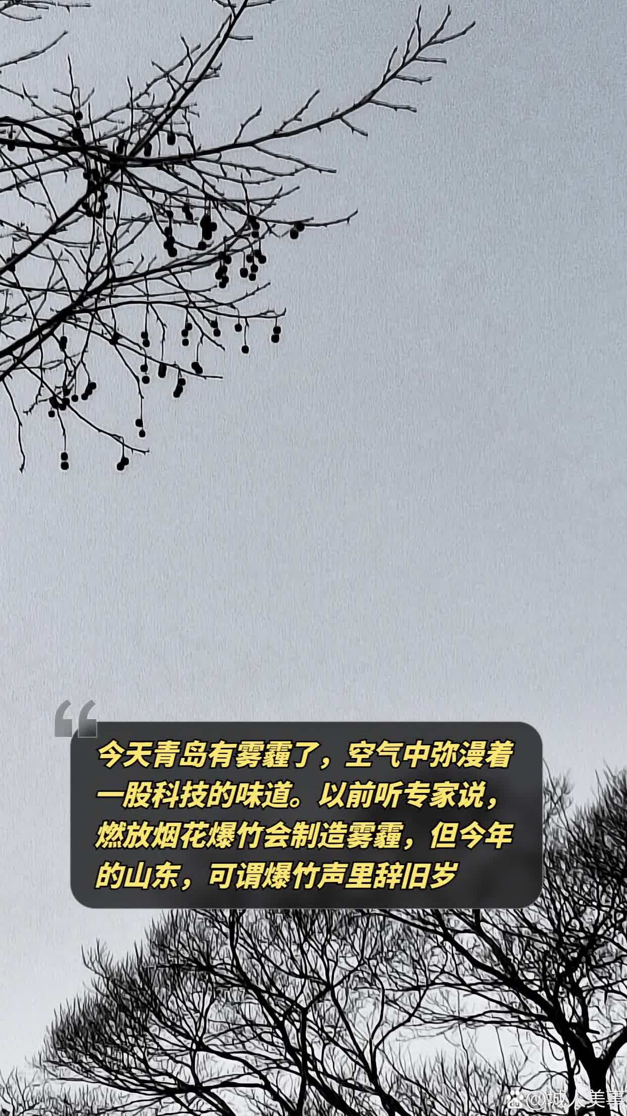 以前听专家说,燃放烟花爆竹会制造雾霾,但今年的山东,可谓爆竹声里辞