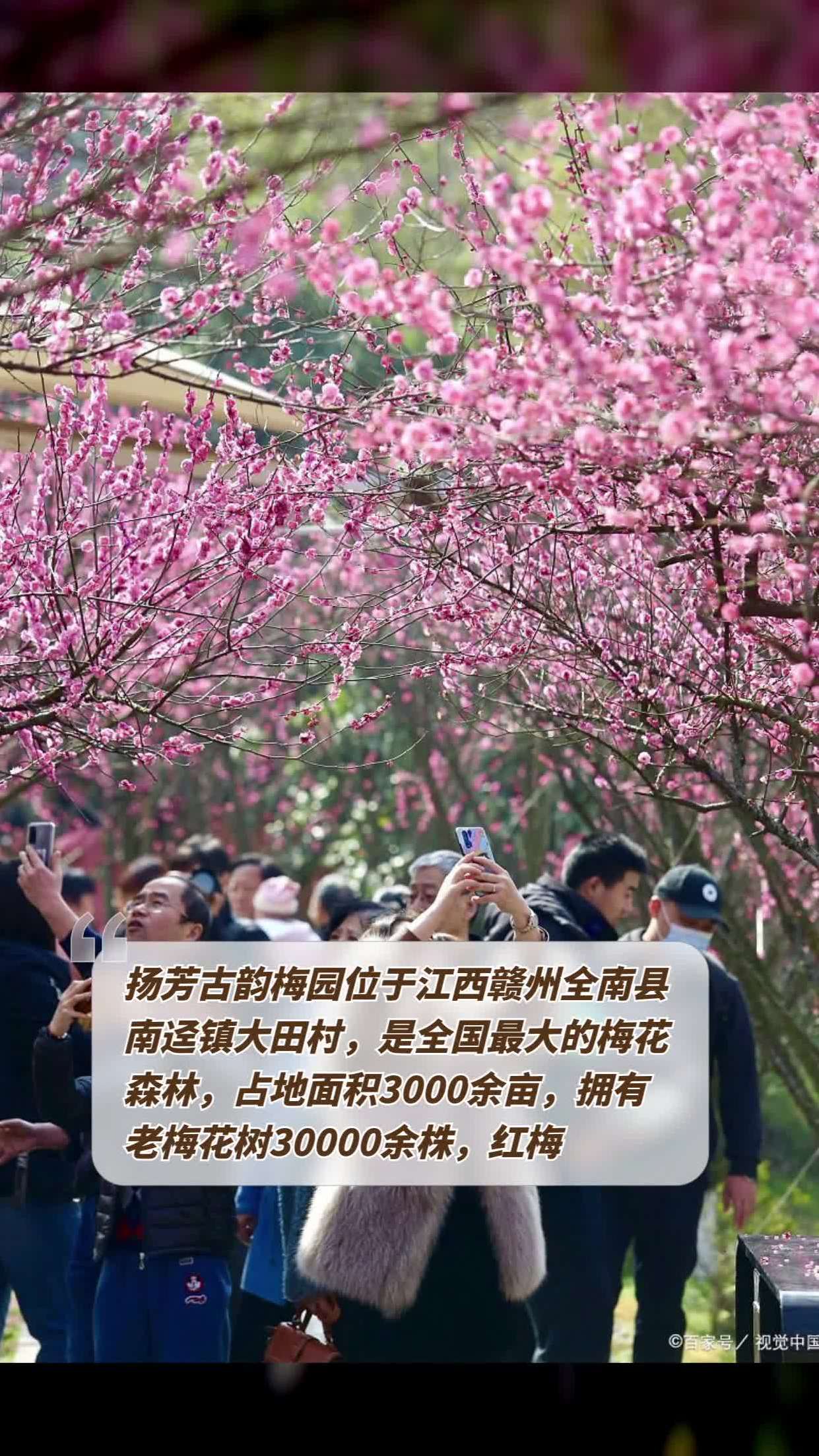 赣州梅花公园的位置图片