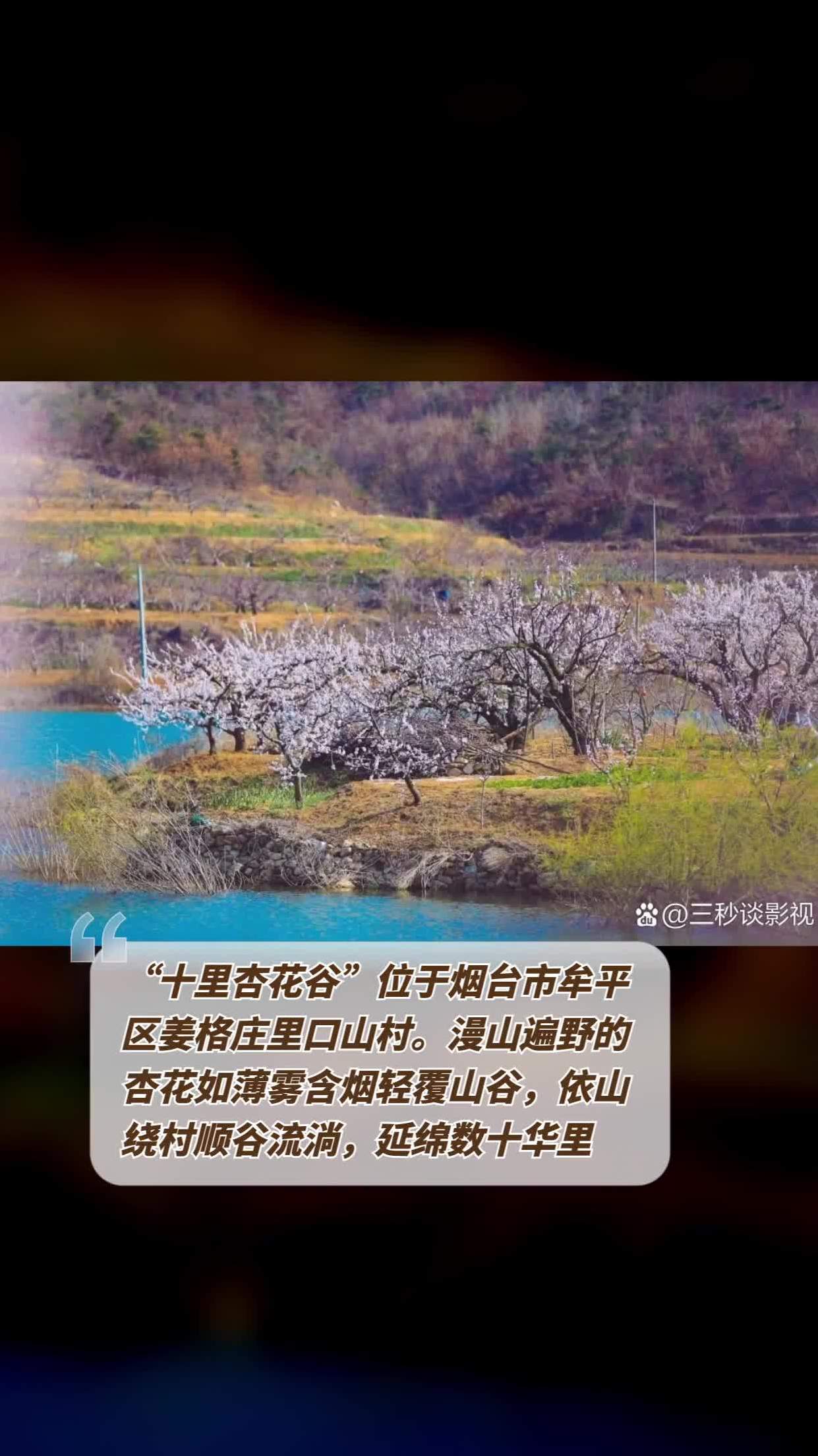 牟平十里杏花谷图片