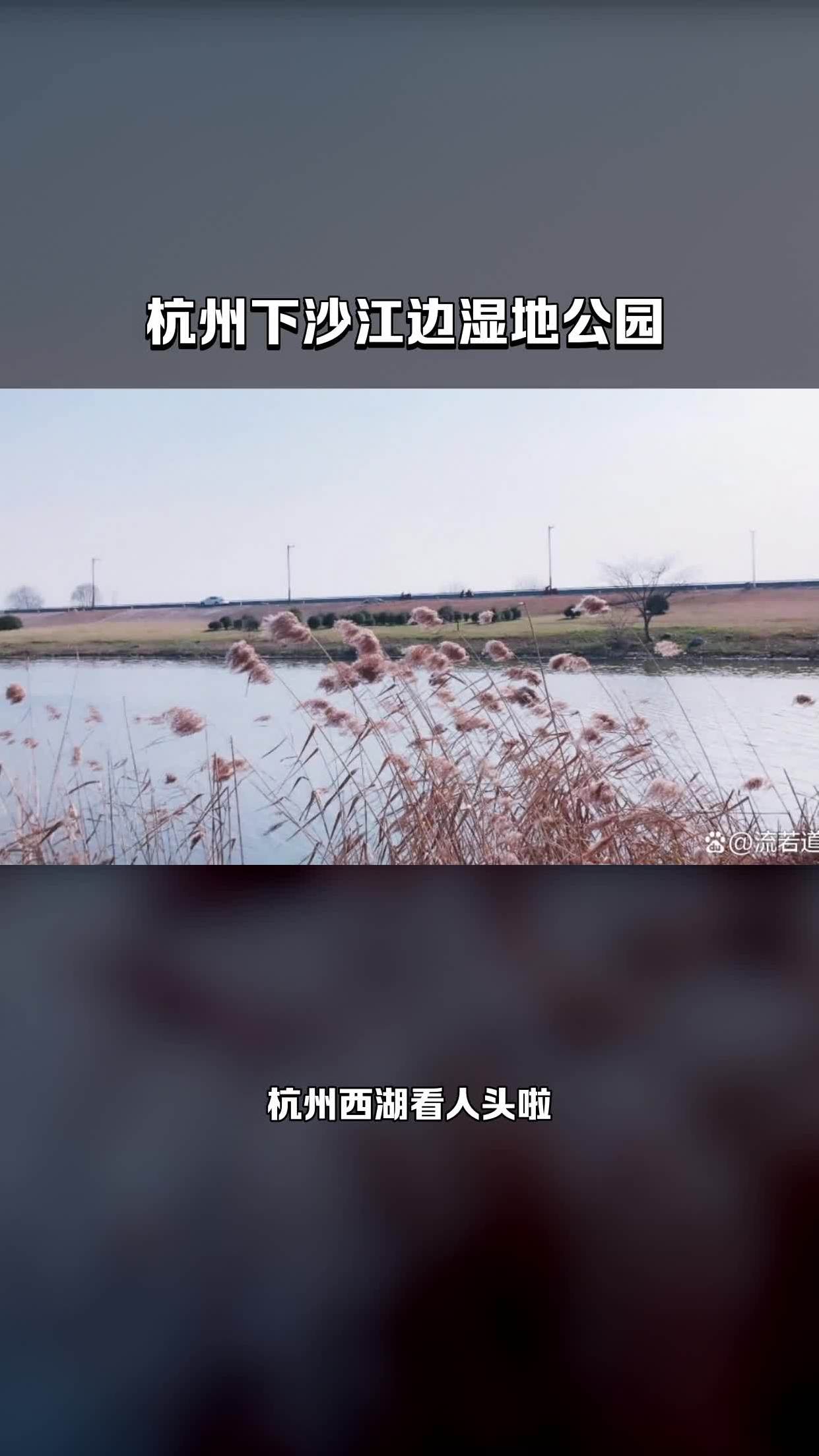 杭州下沙沿江湿地公园图片