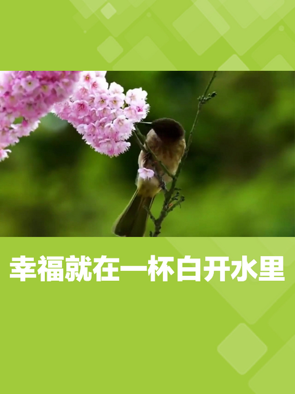 简单生活,幸福真谛