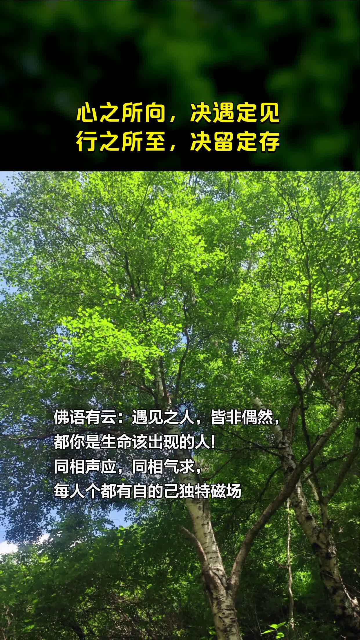 心之所向,行之所至(心之所向行之所至念兹在兹自始至终什么意思)