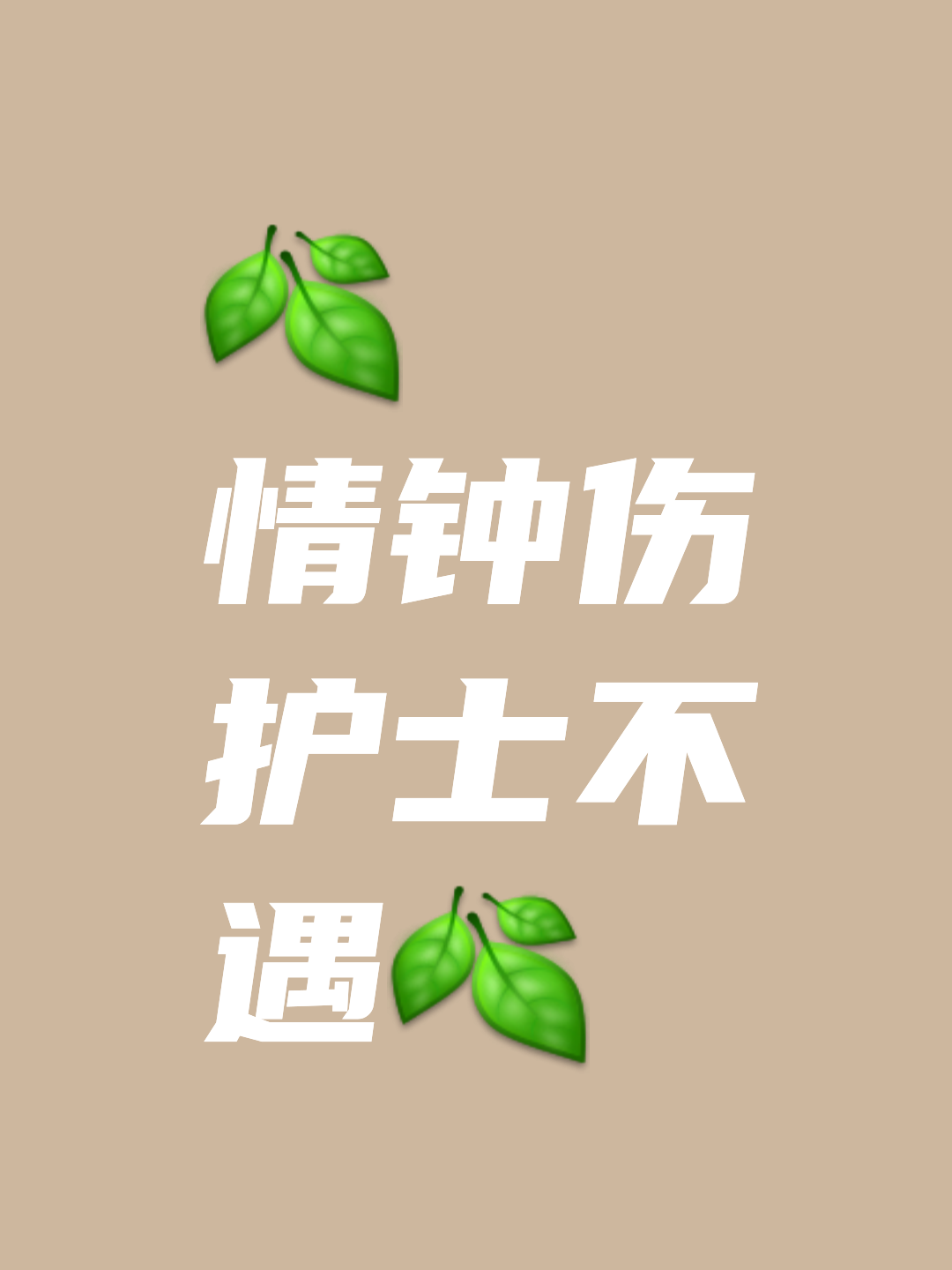 弄巧成拙的素材图片