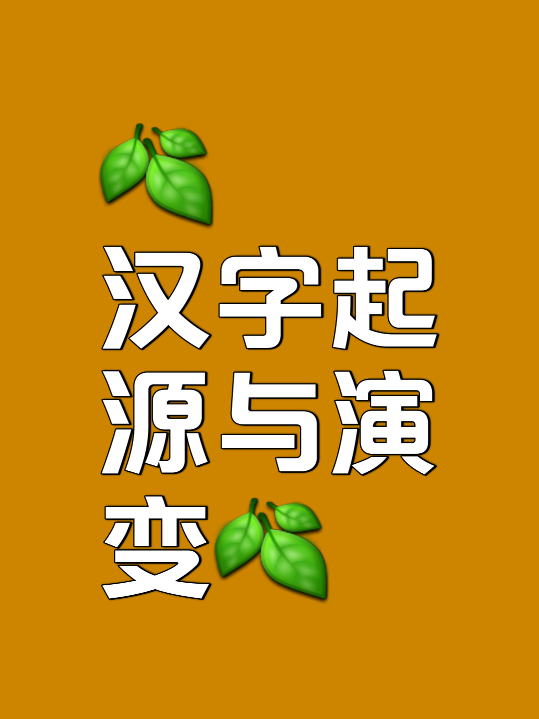 追根溯源画汉字封面图片